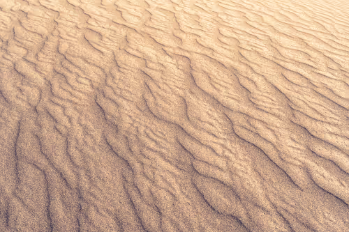 TaraWorkman Collection