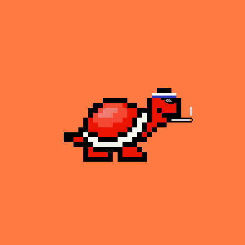 Turtle #12