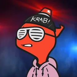 RAID LOSTIE 