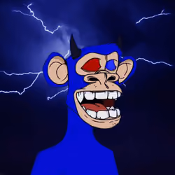 #24