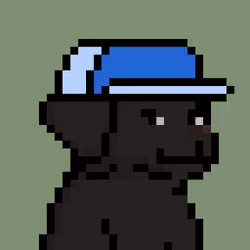 99506891933953784475564293406685917003539183359117622198464548499404772868097