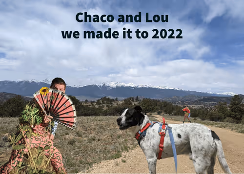 loudogsports Collection