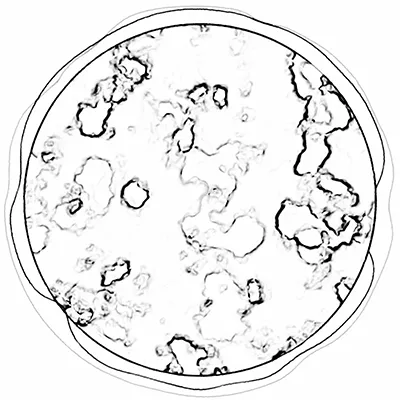 Item #99152019331641229788904140219333937428079268105691841862699864893068995985409 Media