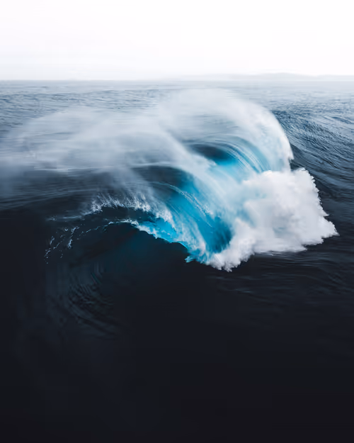 Item #83054766924673444604816267722836446190314772138657067753201581493623751442433 Media