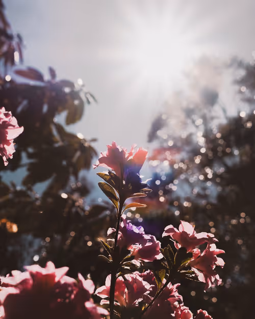 Item #61140817841535323188943582947873458398896939162862574355994582759019716280321 Media