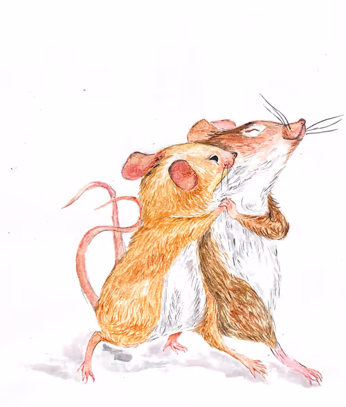 Item #46935522718551766048824563916870750503875228075607676537405440832798453661697 Media