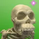 20601350739370934241859392638642246475885285284812073302510754075758062206977