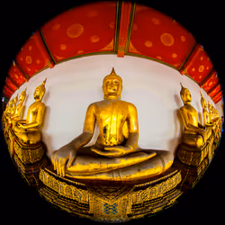 So Many Buddha