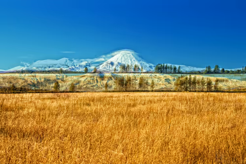 Item #59100591460969090848093152469102707440885830414673782650703488580846037762049 Media