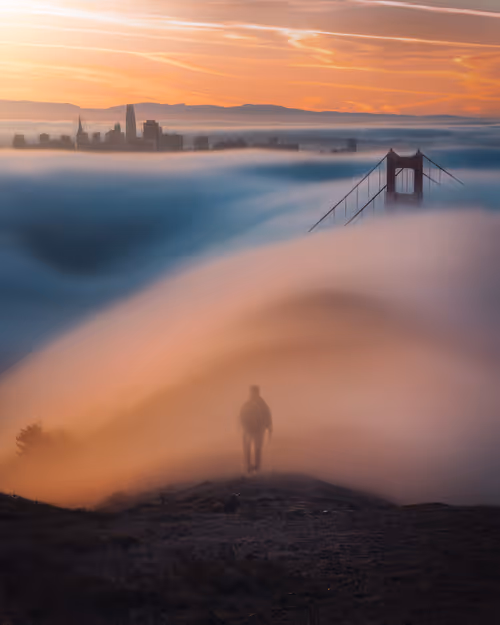 Item #50898105301689156187270630185722760964054040710391092940162900843864996708353 Media