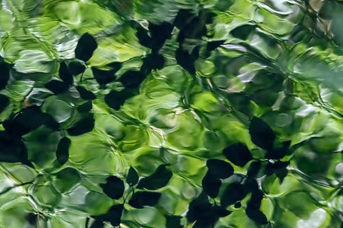 Item #81441334517361708208394031135700195474624799851237506988747108068951806967809 Media