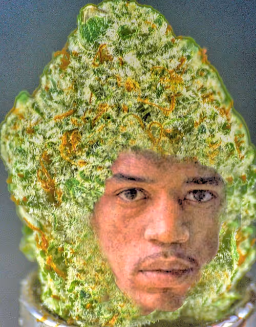 Item #31186953846776644916654461836537312819780745522330041199381679822805915402241 Media