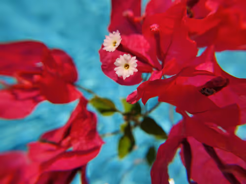 Item #76397996322871269923663397767549197527833354347581050584079304992013250723841 Media