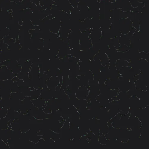 103166270745688407231930057164360568292907528057611223947949351136978540691457