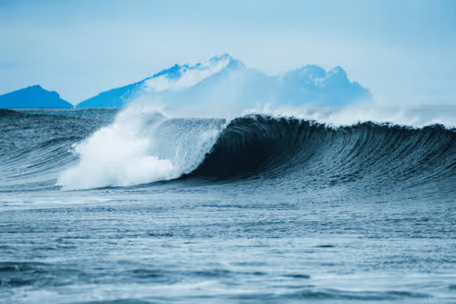 Aaron Oquendo - Limitied Editions