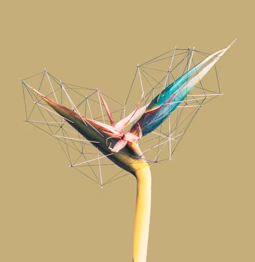 Item #33326098951146265566508462431134290695293307904352901538916508148372112146433 Media