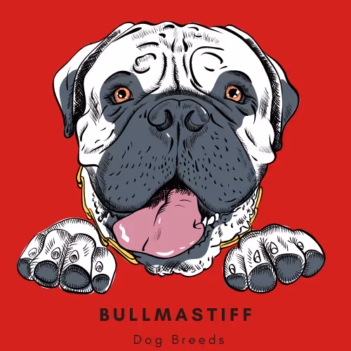 Item #102435799496306094734793923269386745647945406749022464082574321255394888908801 Media