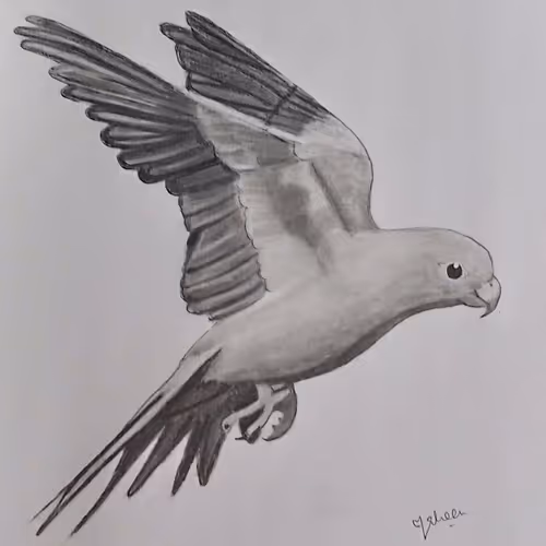 Item #55986617302409629486759846259040043364516686795130712673458847407982159855617 Media