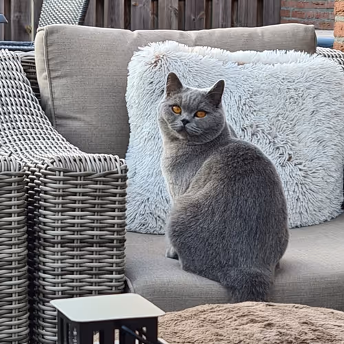 50378249515192140596651097190490243462828899571090436609561503711690261266433