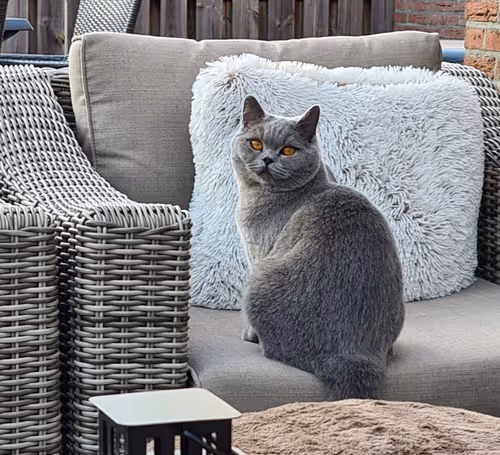 Item #50378249515192140596651097190490243462828899571090436609561503711690261266433 Media