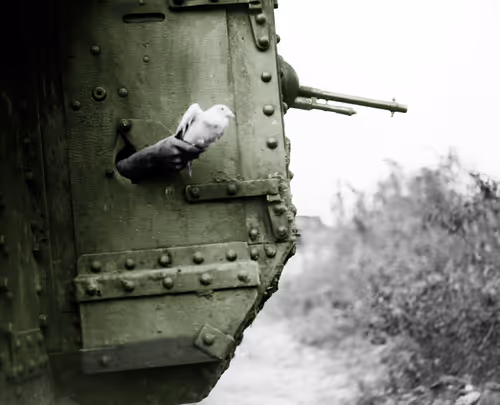 Item #10223887837900181143090227958220144863647732704549736477606910467669586083850 Media