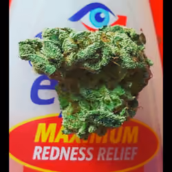 cannabis art