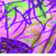 4118885725652343886579148115982307725348261420566545357622401791511100391425