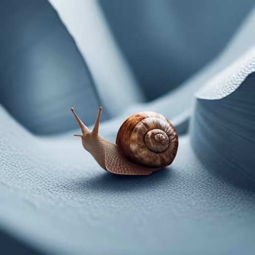 Item #79207774957863144693430944518261332882010116459257474414106635672017149362177 Media