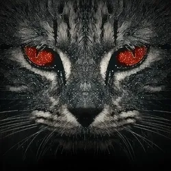 The Robotic Cat
