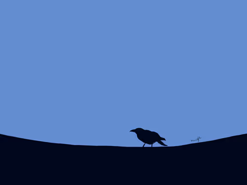 Item #37977840447520349670005540222283102429962384181248056655339606105344631111681 Media