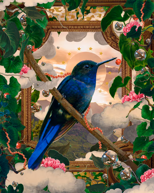 Item #52157283746525259542450048435420026544825586665161748575613848749088444514305 Media