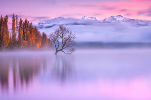 Item #98745491564379547554924435713421898077677728399868739538264606812845440499713 Media