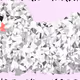 57803851380201452392201340356620982829634760841855160190158575046744875204609