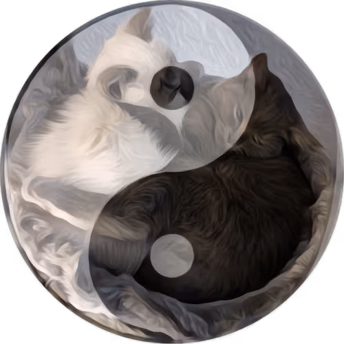 Item #54368346750715825108818200053303091829889046546154692603931558862104890966017 Media