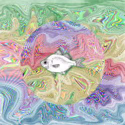 A Small Fish