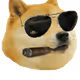Sinceredoge collectables