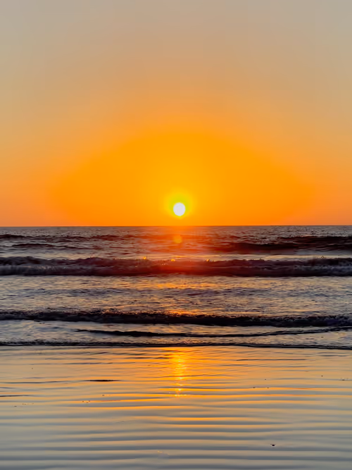 Item #68569921609983084806260736948600394940092661031178232283122914065806864154625 Media