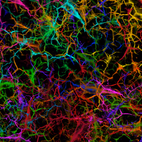 Item #50918555062582210159273167721725581522404743190091886750106034878395562590209 Media