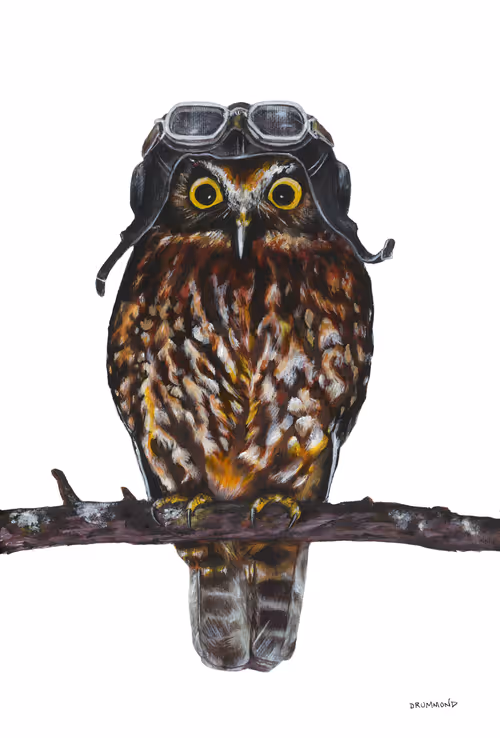 Item #92566316601435052281349829868677070960723609270409732510250099651541318238209 Media