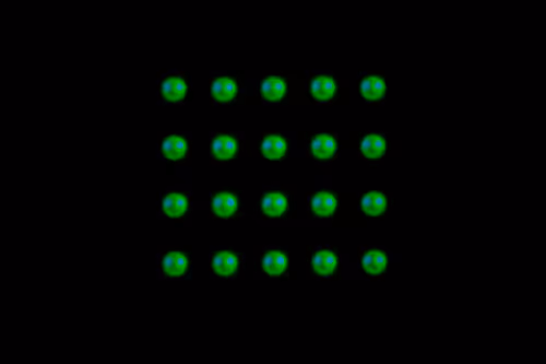 Item #106341816645777573938674110278491376364599424658286782072940899459512590663681 Media