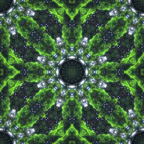 Item #12905120888752978903719114743399414856969811904726015832161736262508810862593 Media