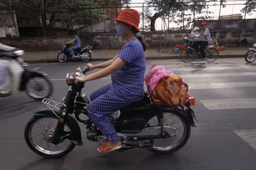 Item #24110165408155573398908987562152031273205884089304227586706331139140638212097 Media