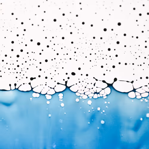 9251341193756129610411101804839683921415719585297066577807806989796053614593