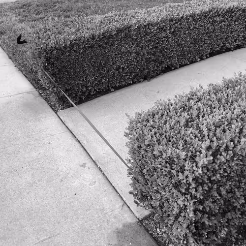 Item #56431751608181922231259635946092067407977788553703326303680802294258059968513 Media