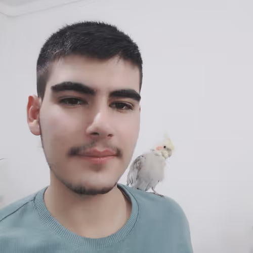 Untitled Collection #155897272