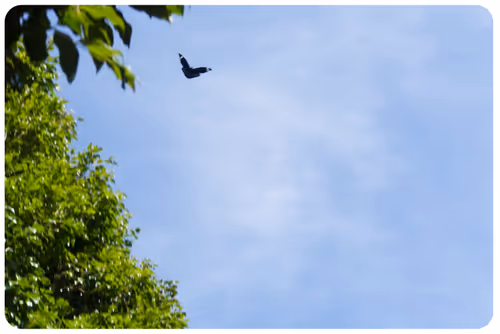 Item #29158143519667306174679199233279327141713317366366149551083667412503054254084 Media