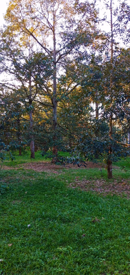 Item #5566384067146798522274074126497945060602670955557143766419118825297193992193 Media