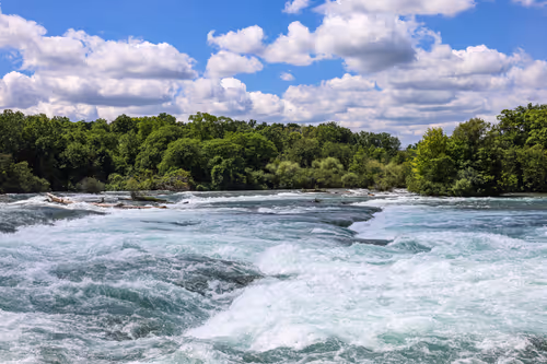 Item #19684374529110288056520570276703370007863893692966726326193838082209534181377 Media