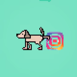 PissingDogs #Instagram