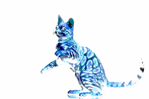 Item #23538819986925566434507765811444276093104658907602947149672917318518672719873 Media